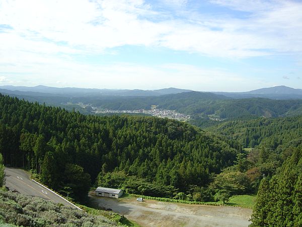 見下ろす緑の景色